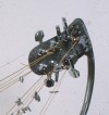 earguitar Detail